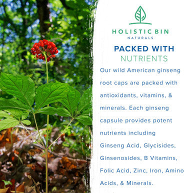 Holistic Bin American Ginseng Capsules Made with Pure Wild Harvested Appalachian Ginseng Root (Panax Quinquefolius) | No Fillers or Additives