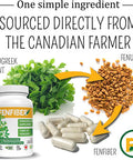 FenFiber - Fenugreek Seed Fiber Supplement, Made and Grown in Canada, 120 count, Premium Soluble Fiber