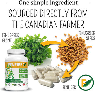 FenFiber - Fenugreek Seed Fiber Supplement, Made and Grown in Canada, 120 count, Premium Soluble Fiber