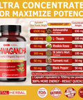 Organic Ashwagan Capsules Equivalent to 7050mg - Maximum Potency with L-Theanine Turmeric Rhodiola St. John's Wort Increase Strength Focus Mood Sleep Support - 90 Days Supply