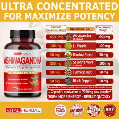 Organic Ashwagan Capsules Equivalent to 7050mg - Maximum Potency with L-Theanine Turmeric Rhodiola St. John's Wort Increase Strength Focus Mood Sleep Support - 90 Days Supply