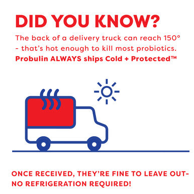 Probulin PPAK Probiotic for Colon Support 20 billion CFU 10 Capsules