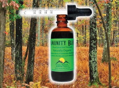 Immunity Blend Extract Organic Mushrooms to Support Immune Health and Promote Energy Daily Immune Support with Turkey Tail Reishi Maitake Lions Mane Naturally Vegan 2 OZ 60 Servings