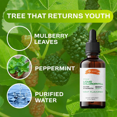 SIRUNES Liquid Chlorophyll Drops - Natural Sodium Copper Chlorophyllin Extract - Cleanse & Support Your Immune System & Energy Naturally - Vegan, Non-Gmo Dietary Greens Tincture - 2 Fl. Oz Bottle