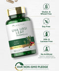 Carlyle Uva Ursi Capsules | 1440mg | 150 Count | Herbal Leaf Extract | Non-GMO | Gluten Supplement