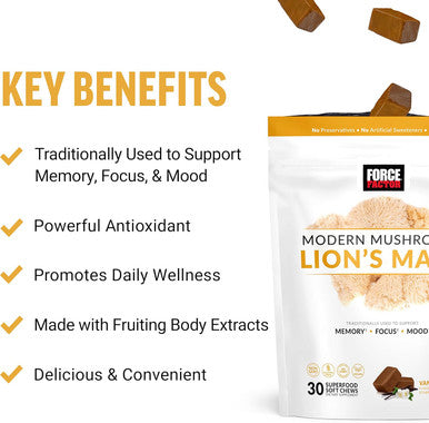 Force Factor Modern Mushrooms Soft Chews Lion s Mane Supplement to Support Memory Mental Focus and Mood Lions Mane Powder Antioxidants Supplement Delicious Vanilla Bean Flavor 30 Soft Chews