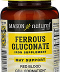 Mason Vitamins Iron Ferrous Gluconate 240Mg Tablets, 100 Count Bottle (Pack of 1)