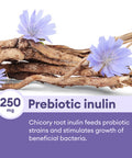 Physician'S Choice Prebiotic-Probiotic - Multi-Strain Probiotics & Synergistic Prebiotics -Designed For Digestive Health, Support