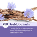 Physician'S Choice Prebiotic-Probiotic - Multi-Strain Probiotics & Synergistic Prebiotics -Designed For Digestive Health, Support