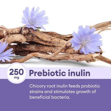 Physician'S Choice Prebiotic-Probiotic - Multi-Strain Probiotics & Synergistic Prebiotics -Designed For Digestive Health, Support