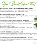 FreshDrinkUS, Premium 50 Mulberry Leaf Tea Bags, 100% Natural & Pure from Mulberry Leaves. Herbal Tea. Made with Natural Material Tea Bags. No Sugar, No Caffeine, No Gluten, Vegan.