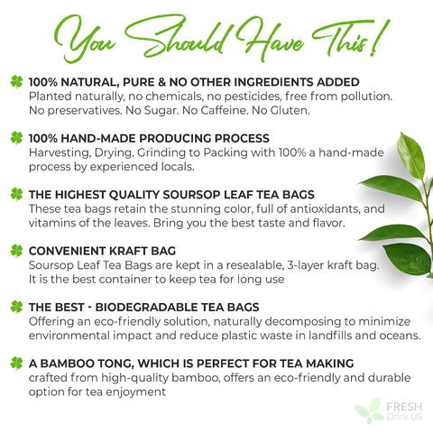 FreshDrinkUS, Premium 50 Mulberry Leaf Tea Bags, 100% Natural & Pure from Mulberry Leaves. Herbal Tea. Made with Natural Material Tea Bags. No Sugar, No Caffeine, No Gluten, Vegan.