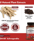 KSM-66 Ashwagandha by DailyNutra - 600mg Organic Root Extract - High Potency Supplement with 5% Withanolides