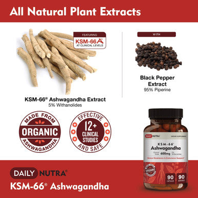 KSM-66 Ashwagandha by DailyNutra - 600mg Organic Root Extract - High Potency Supplement with 5% Withanolides