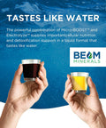 Beam Minerals Micro-Boost Humic Mineral Blend Plant-Based Multi Minerals Supplement & Electrolytes Liquid Micronutrients Supplements Deficiency Support Pure Natural Antioxidant Keto Friendly