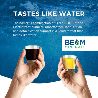 Beam Minerals Micro-Boost Humic Mineral Blend Plant-Based Multi Minerals Supplement & Electrolytes Liquid Micronutrients Supplements Deficiency Support Pure Natural Antioxidant Keto Friendly
