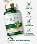 Carlyle Purslane Capsules 500Mg | 120 Count | 4:1 Extract Supplement | Portulaca Oleracea | Traditional Herb | Non-Gmo, Gluten