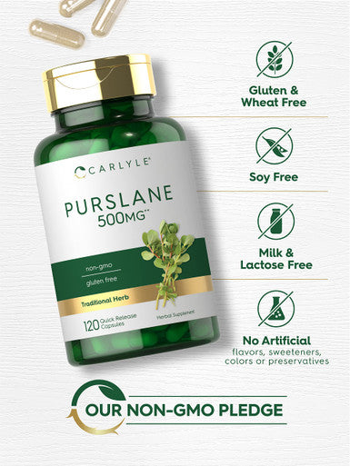 Carlyle Purslane Capsules 500Mg | 120 Count | 4:1 Extract Supplement | Portulaca Oleracea | Traditional Herb | Non-Gmo, Gluten