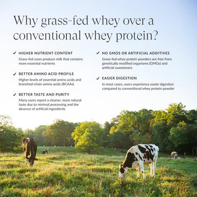 Beam Grass Fed Whey Protein Powder Chocolate Peanut Butter 12 Servings 22g Protein Per Serving Clean Whey Isolate & Concentrate Low Carb Paleo Friendly GMO Free Gluten Free 3rd Party Tested