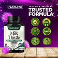 Built Nature Milk Thistle 1000Mg - Liver Detox Supplement With Silymarin Extract & Dandelion Root Gentle Herbal Liver Cleanse For Men & Women - Liver Health Support - Non-Gmo - 120 Veggie Capsules