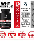 Irish Sea Moss Capsules 2400Mg W. Burdock Root & Bladderwrack - Irish Sea Moss Raw Organic, Organic Sea Moss, Seamoss Pills