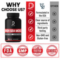 Irish Sea Moss Capsules 2400Mg W. Burdock Root & Bladderwrack - Irish Sea Moss Raw Organic, Organic Sea Moss, Seamoss Pills