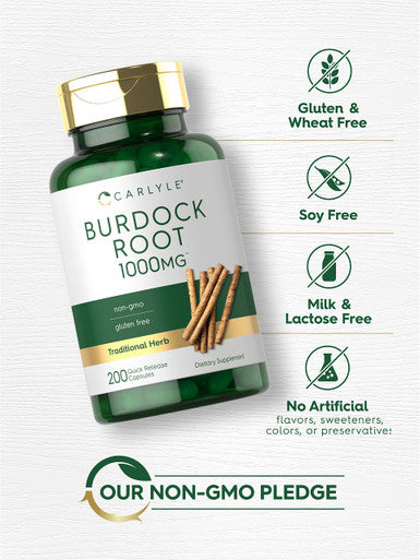 Carlyle Burdock Root | 1000 Mg | 200 Capsules | Non-Gmo And Gluten Free Formula | Traditional Herb Supplement | Arctium Lappa Ext