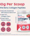 NativePath Collagen Peptides - Hydrolyzed Type 1 & 3 Collagen. Keto & Paleo Grass-Fed Protein Powder for Hair Skin Nails Bones Joints Digestion and More - No Gluten or Dairy (Wild Berry 230g)
