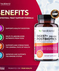 healblend Digest + Postbiotics Supplement for Women and Men Multi Enzymes Organic Prebiotic & Probiotic for Digestive Health with Bromeline Papin and Lipase Non-GMO Gluten-Free 60 Vegetarian Caps