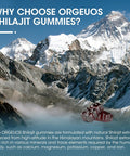Himalayan Shilajit Gummies With 85+ Trace Minerals & Fulvic Acid For Energy, Immune, Cognitive Support High Potency Pure Natural Shilajit Supplement For Men & Women 60 Gummies (2 Packs)