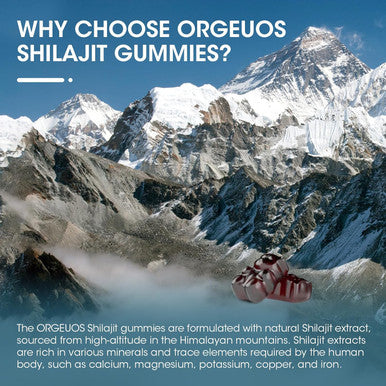 Himalayan Shilajit Gummies With 85+ Trace Minerals & Fulvic Acid For Energy, Immune, Cognitive Support High Potency Pure Natural Shilajit Supplement For Men & Women 60 Gummies (2 Packs)