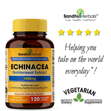 Echinacea Goldenseal 1000 Mg Immune System Support Respiratory Response Inflammatory Response Supplement120 Vegetarian Capsules