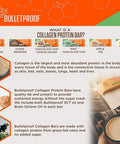 Bulletproof Lemon Cookie Collagen Protein Bars Pack Of 12