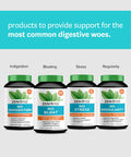 Zenwise No Bloat Supplement with Probiotics Turmeric and Digestive Enzymes Bloating and Gas Relief Ginger Dandelion and Cinnamon to Improve Digestion for Women Men Vegan Formula 60 Count