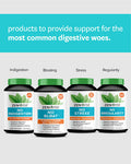 Zenwise No Bloat Supplement with Probiotics Turmeric and Digestive Enzymes Bloating and Gas Relief Ginger Dandelion and Cinnamon to Improve Digestion for Women Men Vegan Formula 60 Count