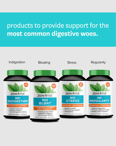 Zenwise No Bloat Supplement with Probiotics Turmeric and Digestive Enzymes Bloating and Gas Relief Ginger Dandelion and Cinnamon to Improve Digestion for Women Men Vegan Formula 60 Count