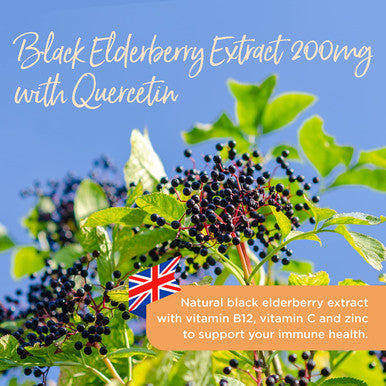 Healthspan Black Elderberry Extract 200mg with Quercetin | 30 Tablets | Support Your Immune System | Natural Plant Flavonoid Quercetin | Added Vitamin B12, Vitamin C & Zinc | Vegan