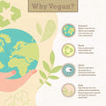 Vegan Digestive Fibers by Kala Health Unique Combination of prebiotic fibers and Marine Algae That stimulates Easy Bowel and Colon Movement 60