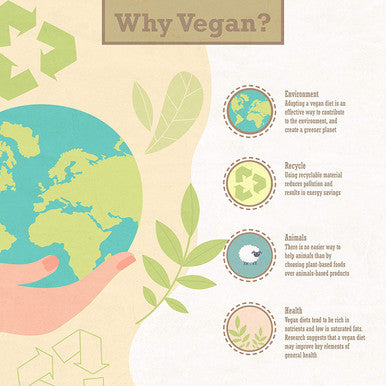 Vegan Digestive Fibers by Kala Health Unique Combination of prebiotic fibers and Marine Algae That stimulates Easy Bowel and Colon Movement 60