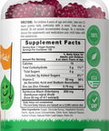 Elderberry Gummies For Kids | 120 Count | Zinc And Vitamin C | Natural Berry Flavor | Vegan, Non-Gmo, And Gluten Free | By Lil' S