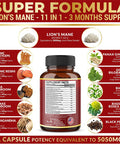 11 in 1 Lions Mane Mushroom Capsules, Equivalent to 5050mg, 3 Month Supply with Cordeyceps, Reishi, Ashwagandha, Panax Ginseng, Focus, Memory and Brain Support Supplement, Immune Support, Energy Pills