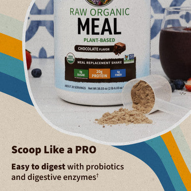 Garden of Life Vegan Protein Powder - Raw Organic Meal Replacement Shakes - Chocolate - Pea Protein Greens And Probiotics For Women And Men Plant Based Dairy Free All In One Shake 14 Servings