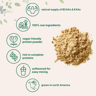 Micro Ingredients North American Grown Pea Protein Powder 5 Pounds | Plant Based Unflavored | Complete Vegan Protein Source 27g Serving | Rich in BCAAs & EAAs | Non-GMO Keto Friendly