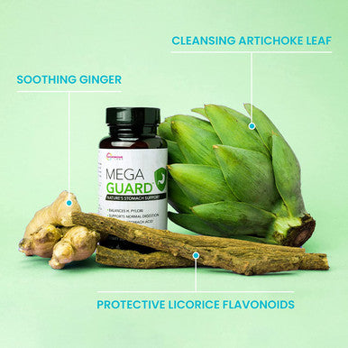Microbiome Labs Gastric Balance Support Bundle - MegaGuard (60 Capsules) Artichoke Leaf Extract, Ginger & Licorice Supplement + PyloGuard Postbiotic L. reuteri (30 Capsules)