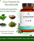 Thyroid Support Supplement With Iodine, Kelp, Ashwagandha, Selenium & Zinc - Supports Energy, Metabolism & Thyroid Health - L-Tyrosine, Schisandra & Bladderwrack - 60 Capsules