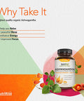 Ashwagandha Turmeric with Ginger Maximum Strength to Support Relaxation and Wellbeing GlutenFree Adaptogenic Supplement for Immune Sleep Support for Women Men Adults