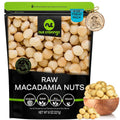 NUT CRAVINGS - Roasted & Salted Macadamia Nuts - No Shell, (32oz - 2 LB) Bulk Nuts Packed Fresh in Resealable Bag - Healthy Protein Food Snack, Food Assortments Hazelnut