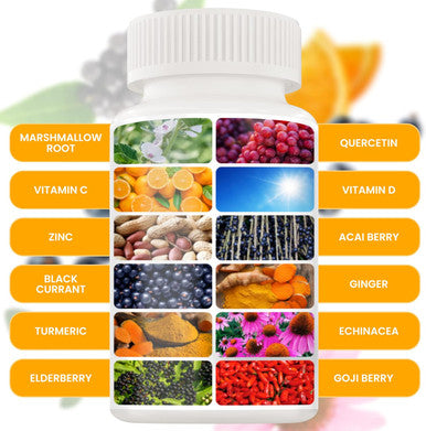12 In 1 Premium Immune Defense Vitamins - Immune Supplement W/ Vitamin D3 5000 Iu Vitamin ÃƒÂÃ‚Â¡ 1000Mg ZinÃƒâ€˜Ã‚Â 50Mg - Luxe Choice For Premium Immune Support - With Echinacea Elderberry And Ginger - 120 Caps