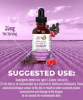Maryruth Organics Toddler Elderberry Syrup USDA Organic Elderberry Sugar Kids Immune Support Supplement for Ages 1-3 Years Clean Label Project Verified Vegan Non-GMO Gluten 1 Fl Oz