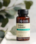 Nature'S Sunshine Kidney Activator Capsules 100 Capsules | Natural Kidney Supplement Contains Herbs To Support And Enhance Kidne